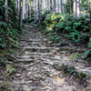 熊野詣　－熊野古道