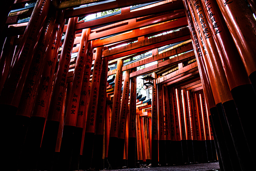 千本鳥居で　Ⅹ