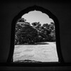 窓から見る枯山水