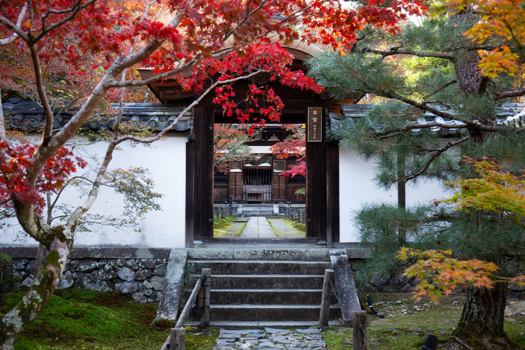 晩秋の一休寺