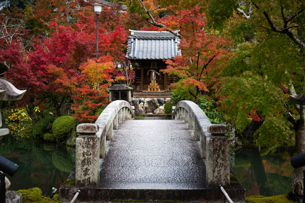 秋の永観堂にて　Ⅲ