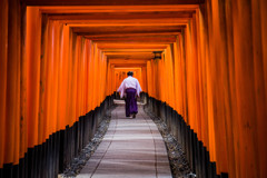 朝の千本鳥居にて。　Ⅳ
