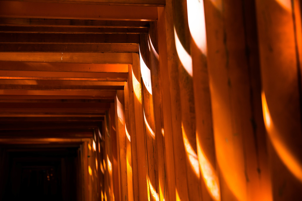 『千本鳥居へようこそ』②