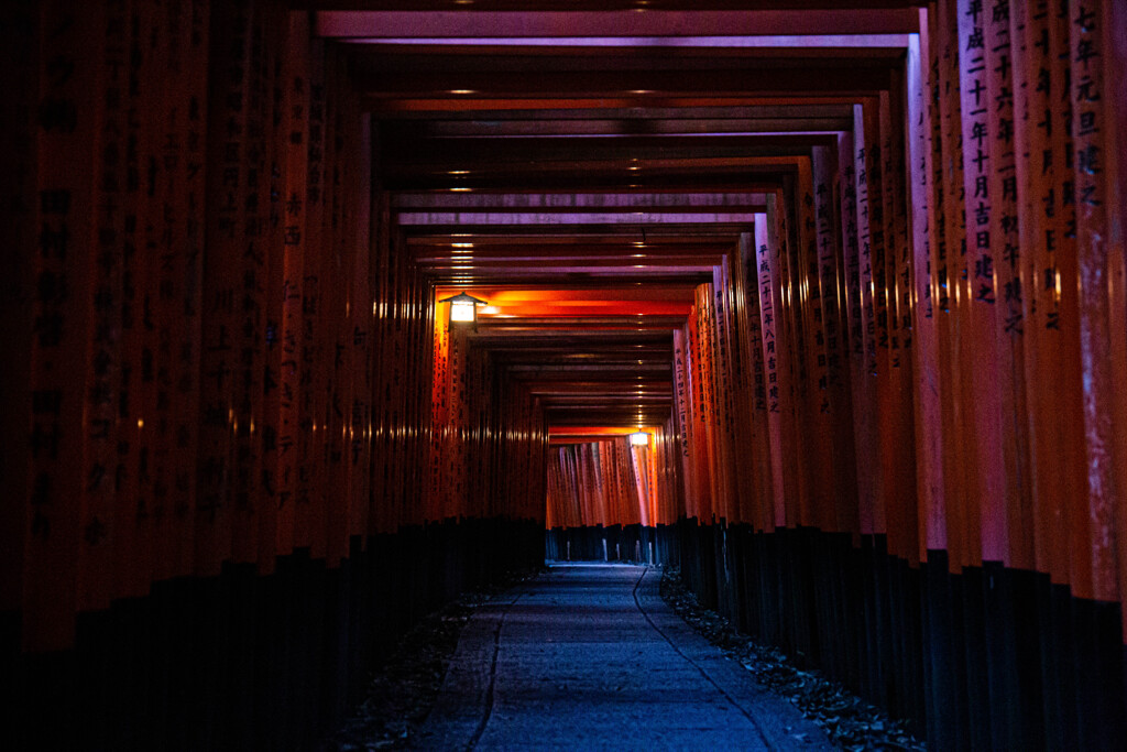 夜の千本鳥居で