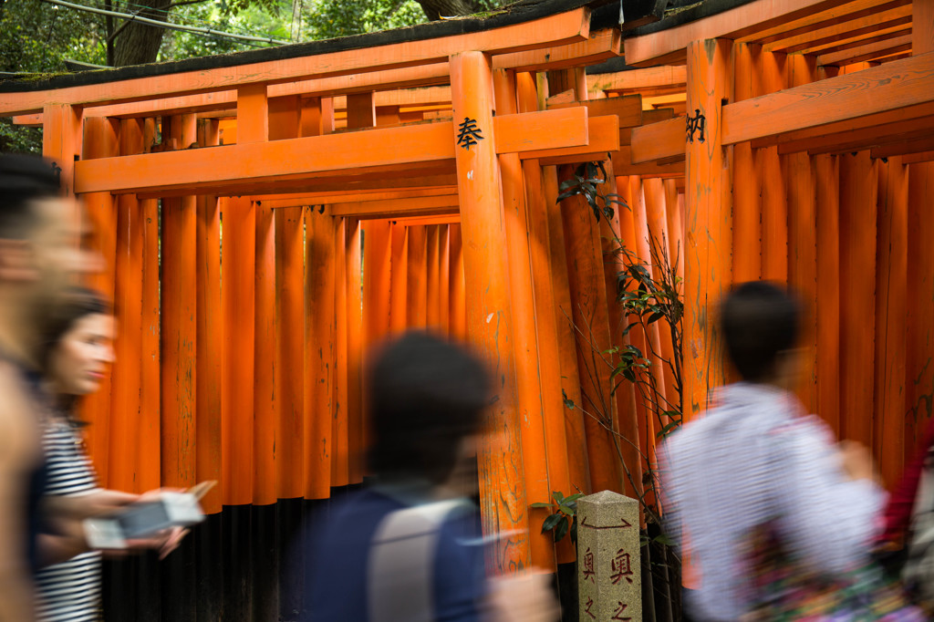 右の鳥居からGO！