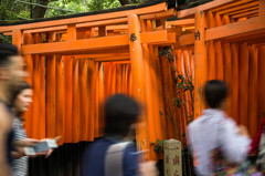 右の鳥居からGO！