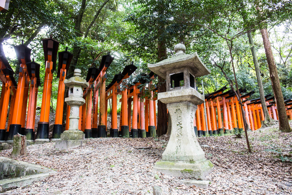 連なる鳥居