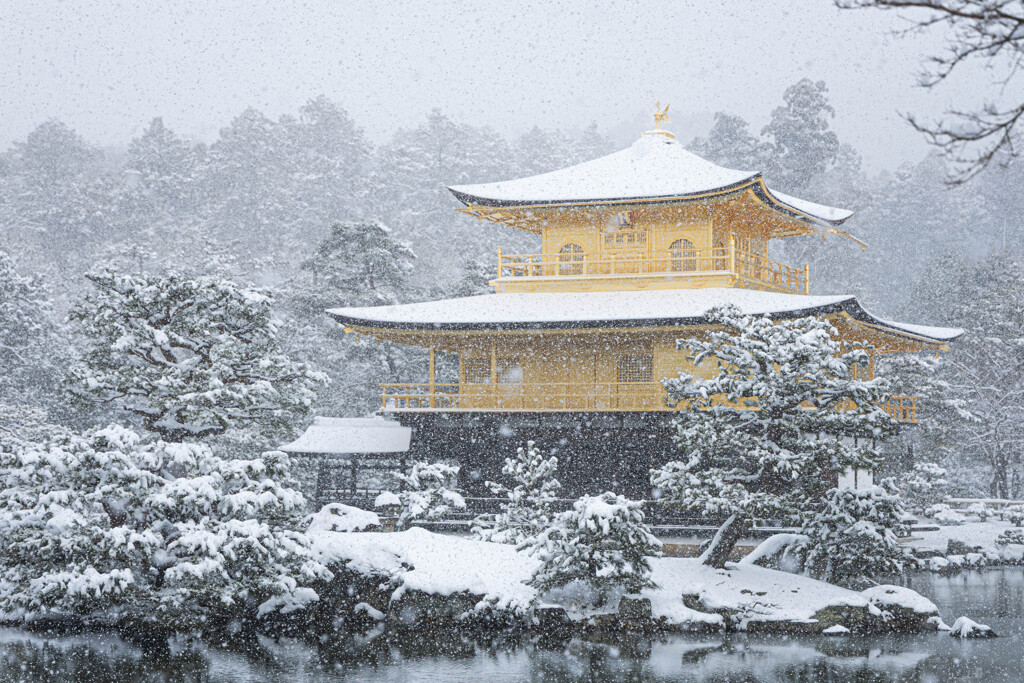 2025年2月 雪の金閣寺