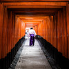 千本鳥居で