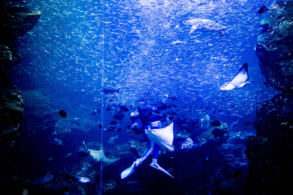 Kyoto Aquarium