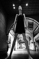 Long Tall NANA