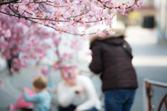 河津桜の下で。