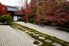 天授庵の枯山水・秋　Ⅱ