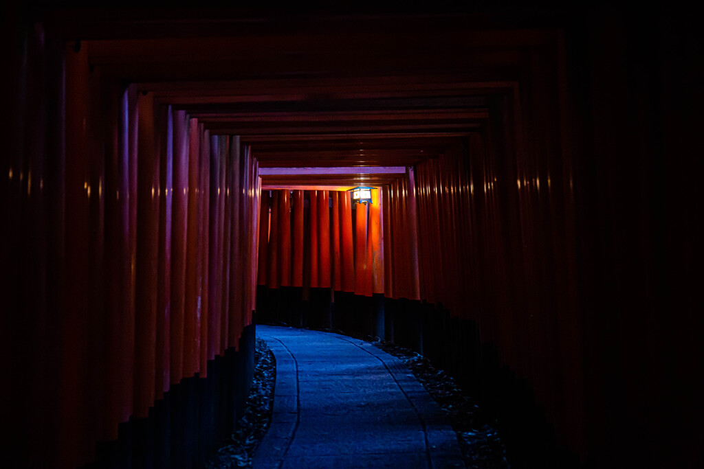夜の千本鳥居