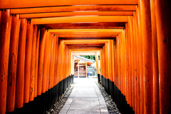 千本鳥居　Ⅳ