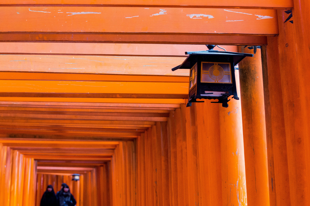鳥居のトンネルを歩く。