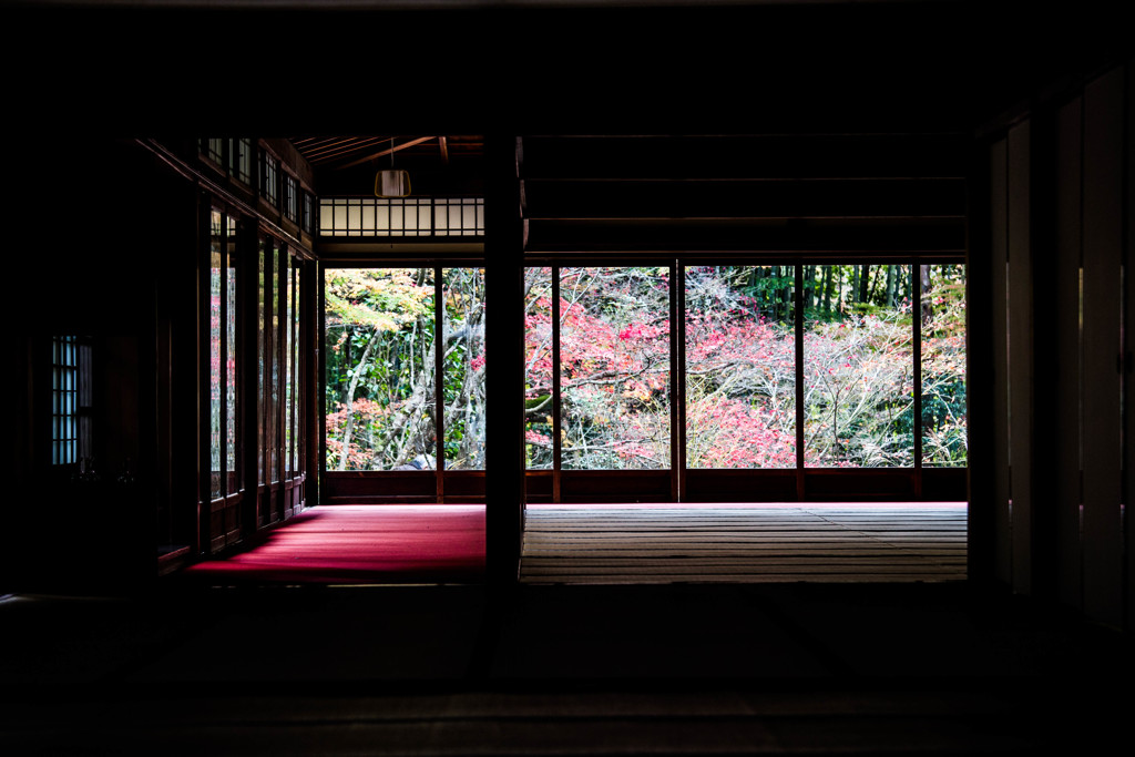 天授庵の晩秋　Ⅲ