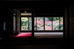 天授庵の晩秋　Ⅲ