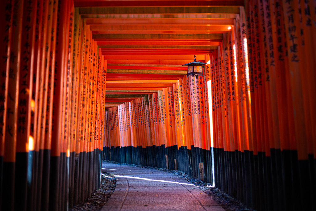 千本鳥居　Ⅴ