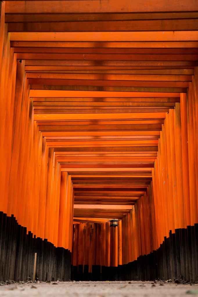 「おいなりさんへ出かけよう」　その１