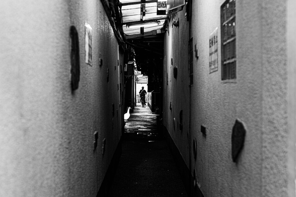先斗町の路地景色　Ⅲ
