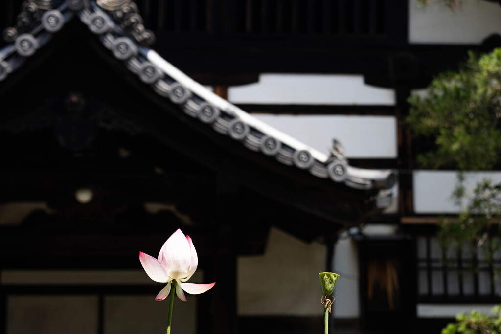 『諸行無常』