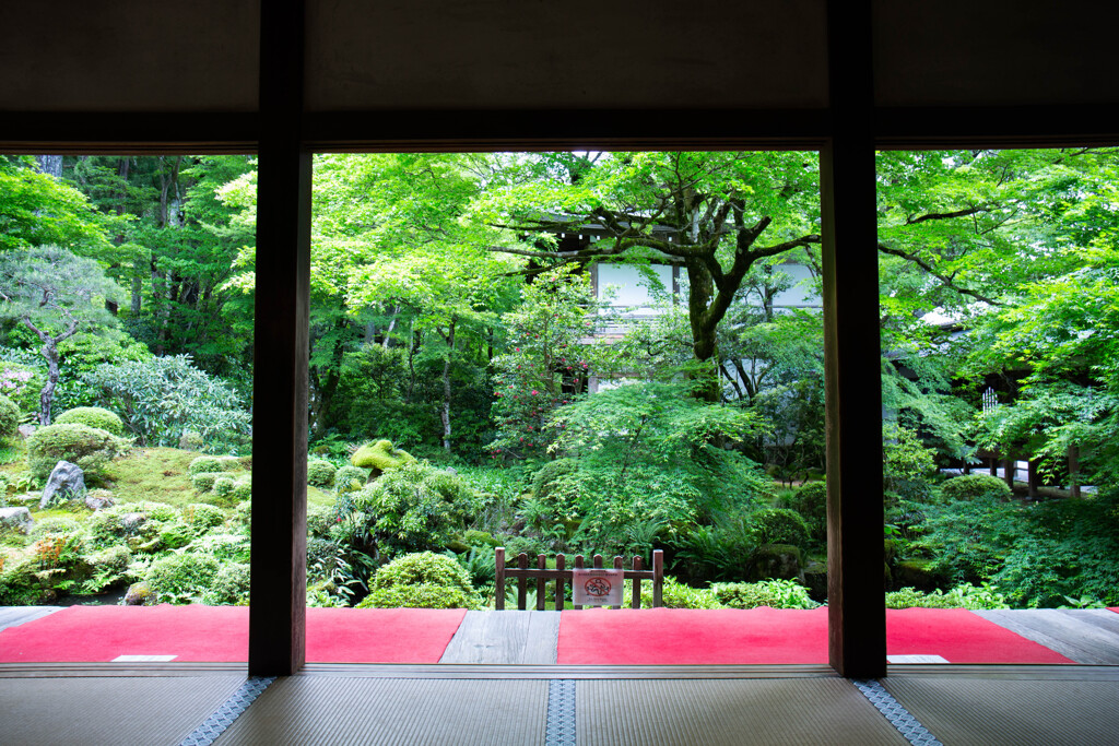 新緑のパノラマ　三千院　Ⅱ