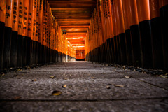 『千本鳥居へようこそ』　③