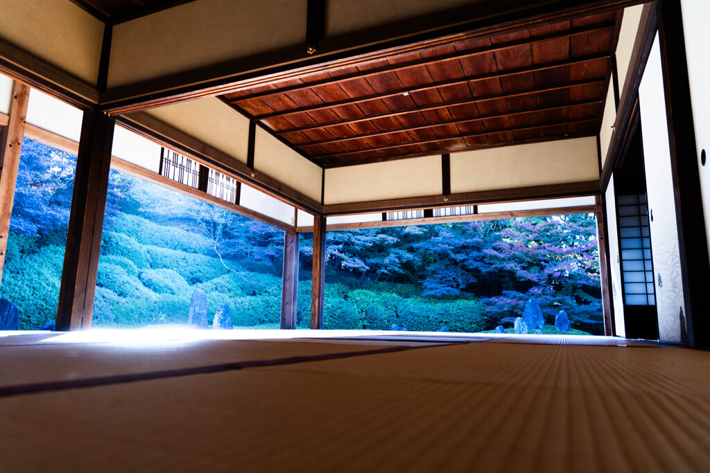 光明院 晩秋の佇まい　Ⅰ