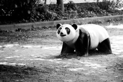 児童公園のパンダ