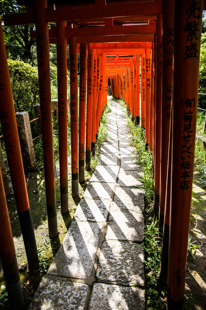 鳥居のトンネル