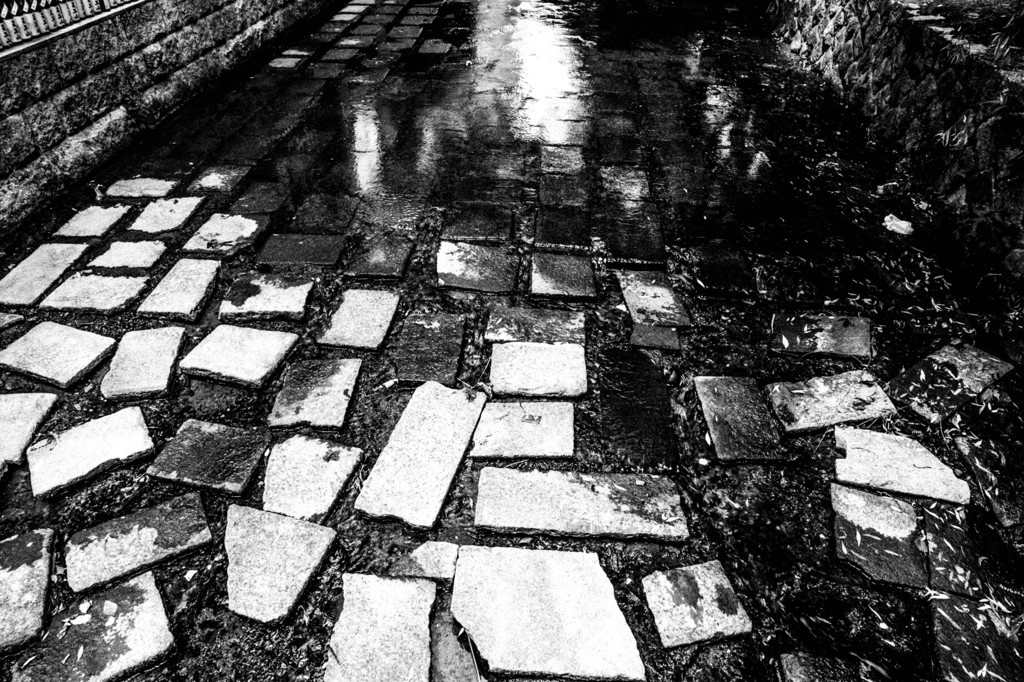 高瀬川　black & white