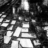 高瀬川　black & white