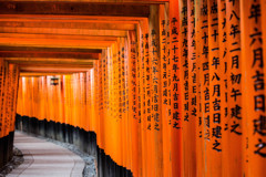 鳥居に誘われて。