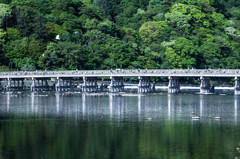 新緑の渡月橋。