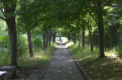 伏見の散歩道♪