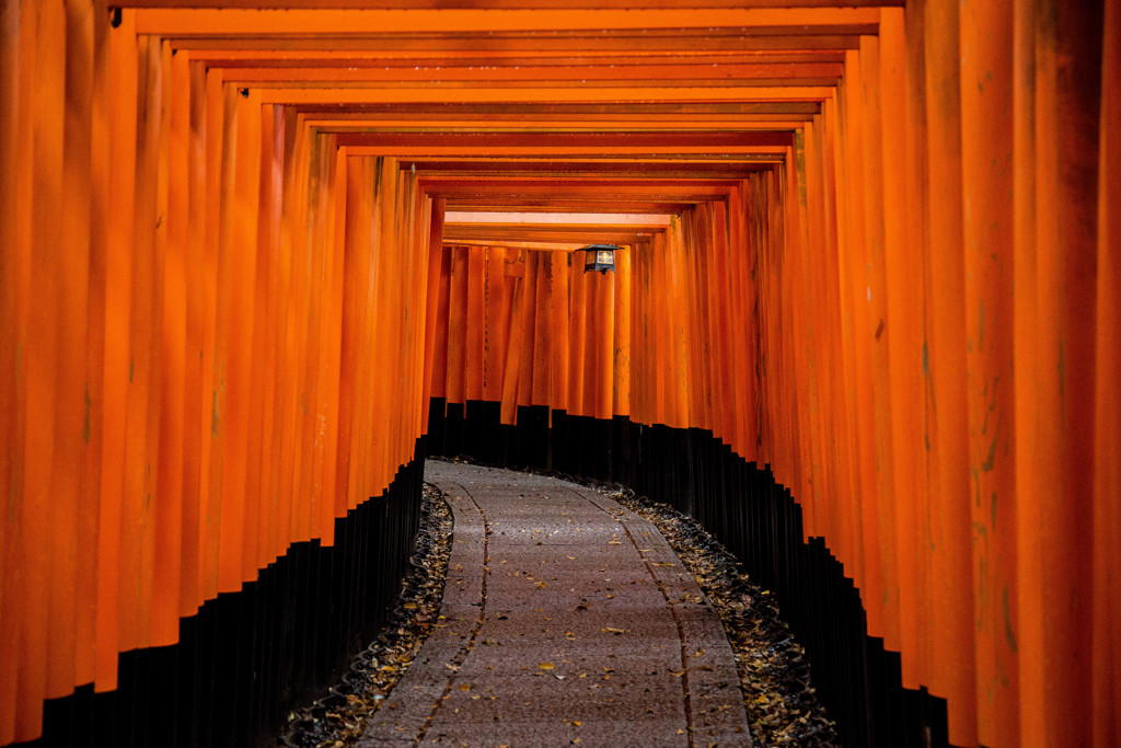 千本鳥居で　Ⅰ