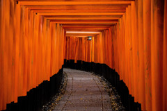 千本鳥居で　Ⅰ
