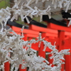 『願いと結び』