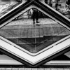 Aoyama Black/White 3