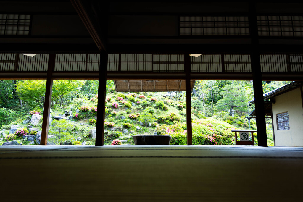 智積院_初夏のパノラマ ①