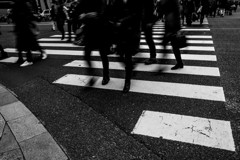 Zebra Crossing　Ⅱ