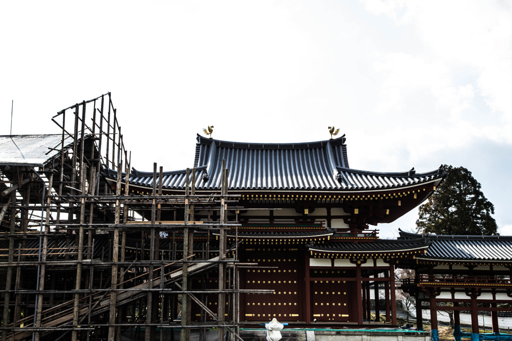 春には･･･。