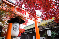 下鴨神社・2014秋　Ⅳ