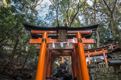 いざ、お山へ。