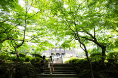 5月の旧古河庭園で。　Ⅱ