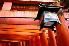 千本鳥居を進む　Ⅷ