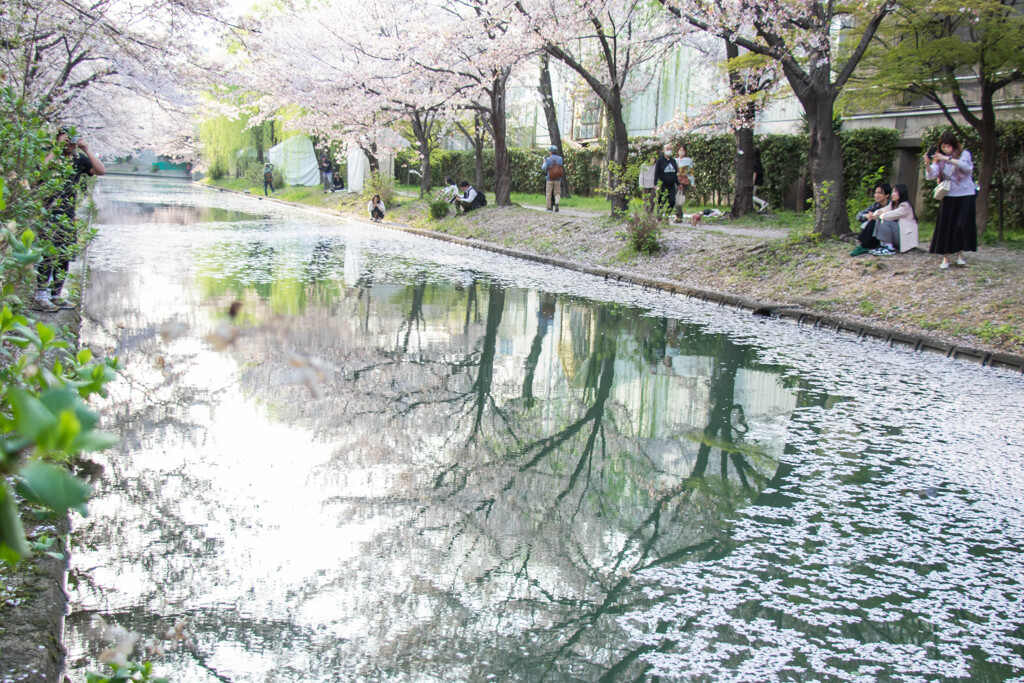 春の川　Ⅰ