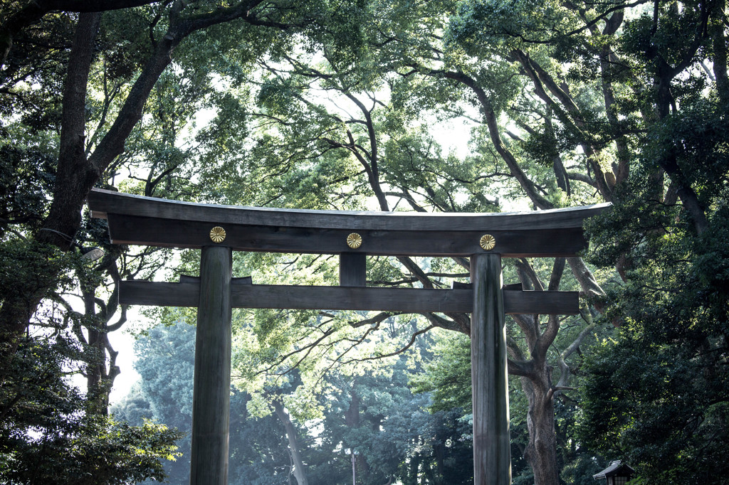 明治神宮の鳥居