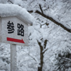 『参路』
